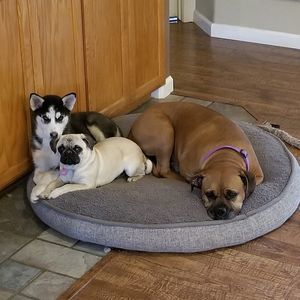 Meet your Posher, Marla